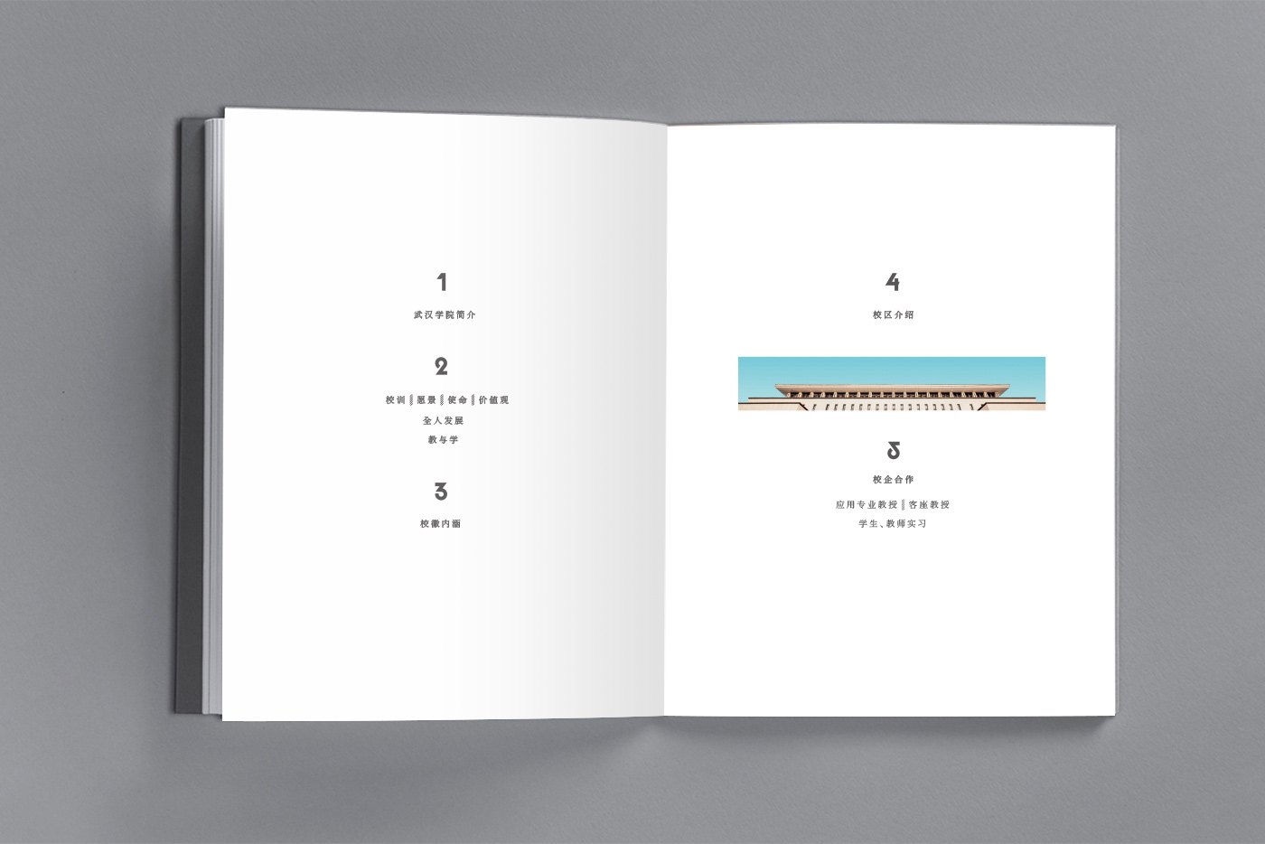 武漢學院畫冊設計7